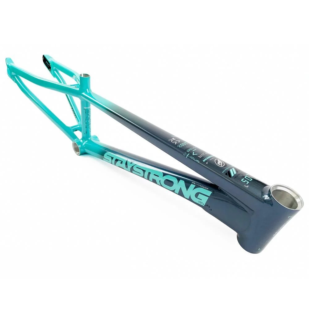Рама BMX-race StayStrong V5 2024 Expert XL Disc Charcoal-Mint