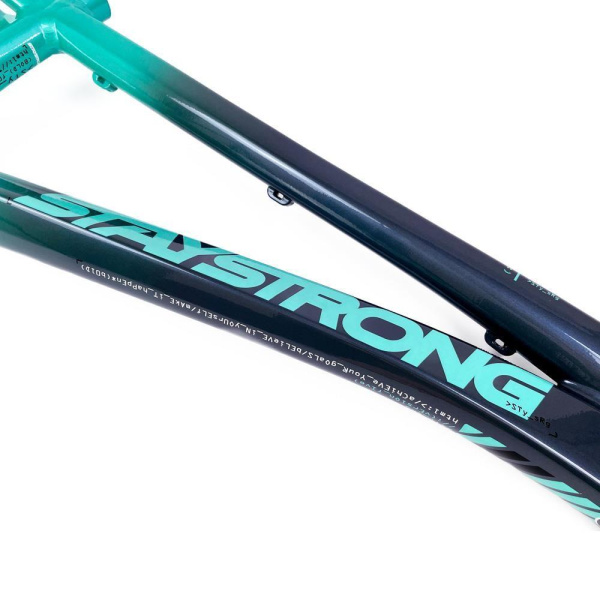 Рама BMX-race StayStrong V5 2024 Disc Charcoal-Mint PRO XXXXL