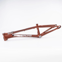 Рама BMX-race StayStrong V4 Pro copper 2023 disc brake