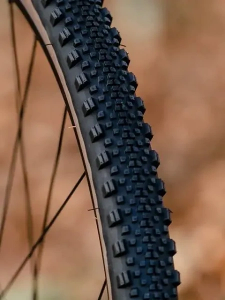 Покрышка бескамерная 700x44C WTB Raddler, TCS Light/Fast Rolling Tire (tanwall)