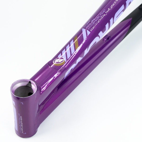 Рама BMX-race StayStrong V5 2025 Expert Disc Black-Purple