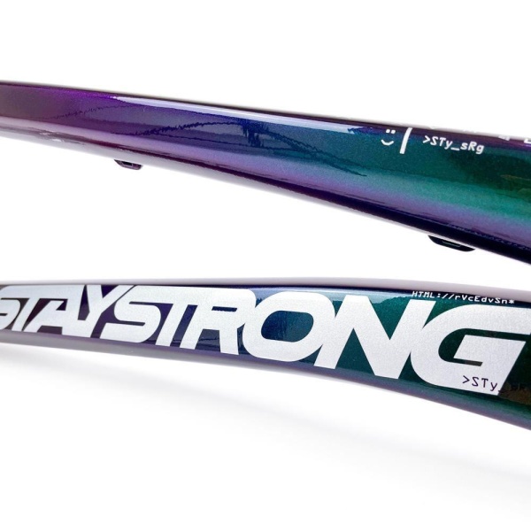 Рама BMX-race StayStrong V5 2024 Disc Chameleon-Silver PRO XXL