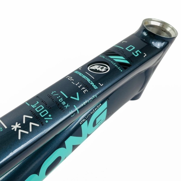 Рама BMX-race StayStrong V5 2024 Disc Charcoal-Mint Expert