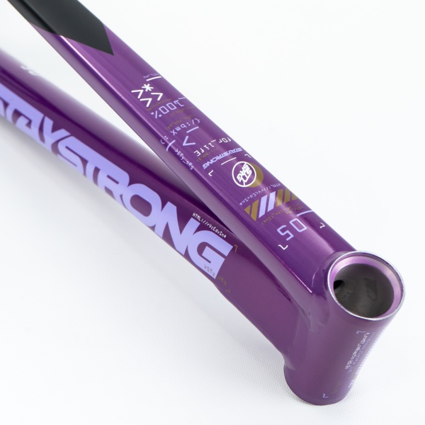 Рама BMX-race StayStrong V5 2025 Expert Disc Black-Purple