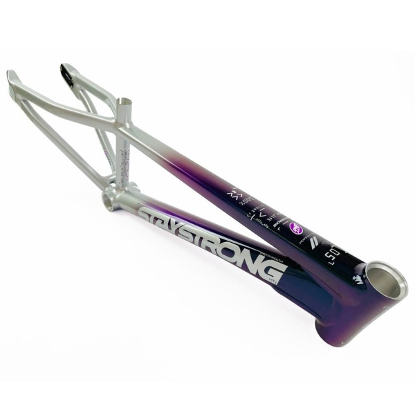 Рама BMX-race StayStrong V5 2024 Disc Chameleon-Silver Expert