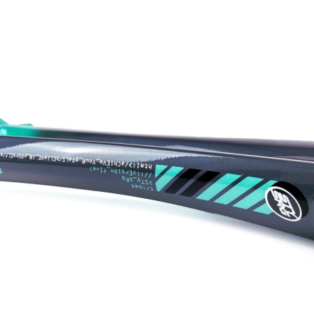 Рама BMX-race StayStrong V5 2024 Disc Charcoal-Mint PRO XL