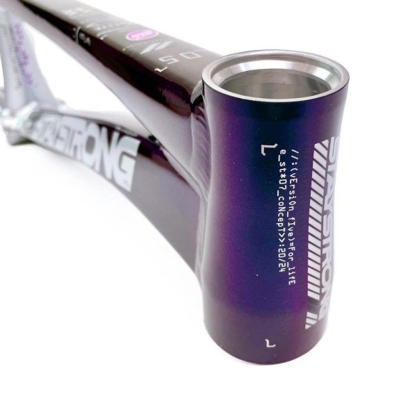 Рама BMX-race StayStrong V5 2024 Disc Chameleon-Silver PRO XXL